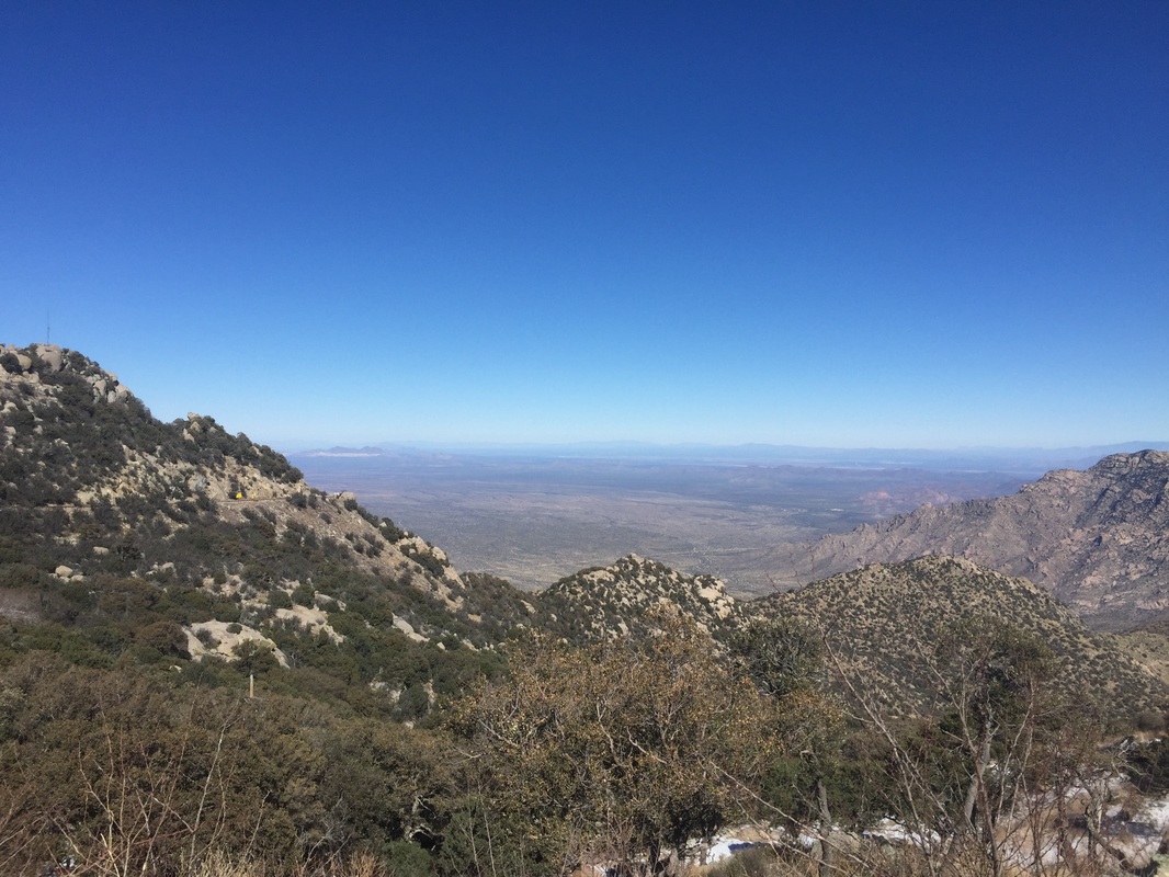 CAC赛事落下帷幕 土耳其狙神woxic斩获MVP‘BJL平台’(图1) BJL平台