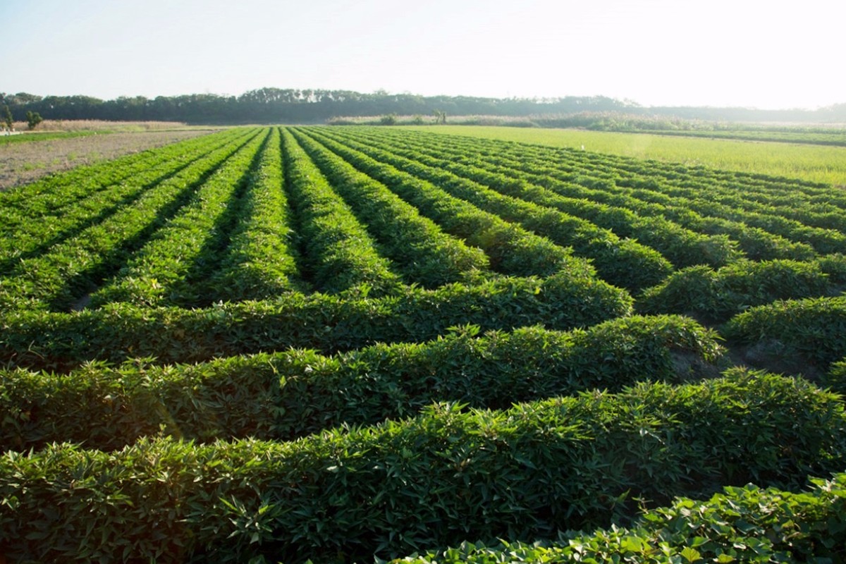 LPL季后赛在线寓目 超清资源免费寓目教程“BJL平台集团”(图4) BJL平台集团