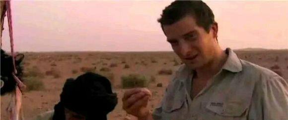 5580元直飞普吉岛晨报包机“泰划算”|BJL平台(图2) BJL平台