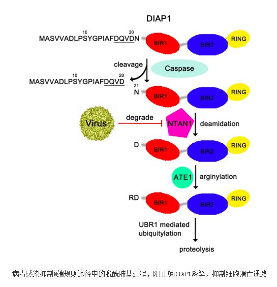 欧洲五大联赛实力排行榜:巴萨仅排名第三,皇马没进前十名!‘BJL平台’(图1) BJL平台集团