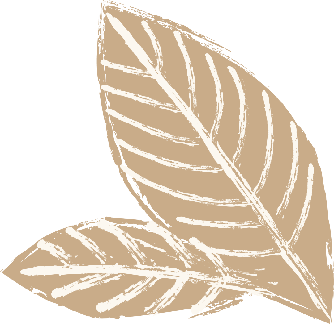 
棒球新航线丨快趣团建带你玩转竞技体育【BJL平台】(图5)